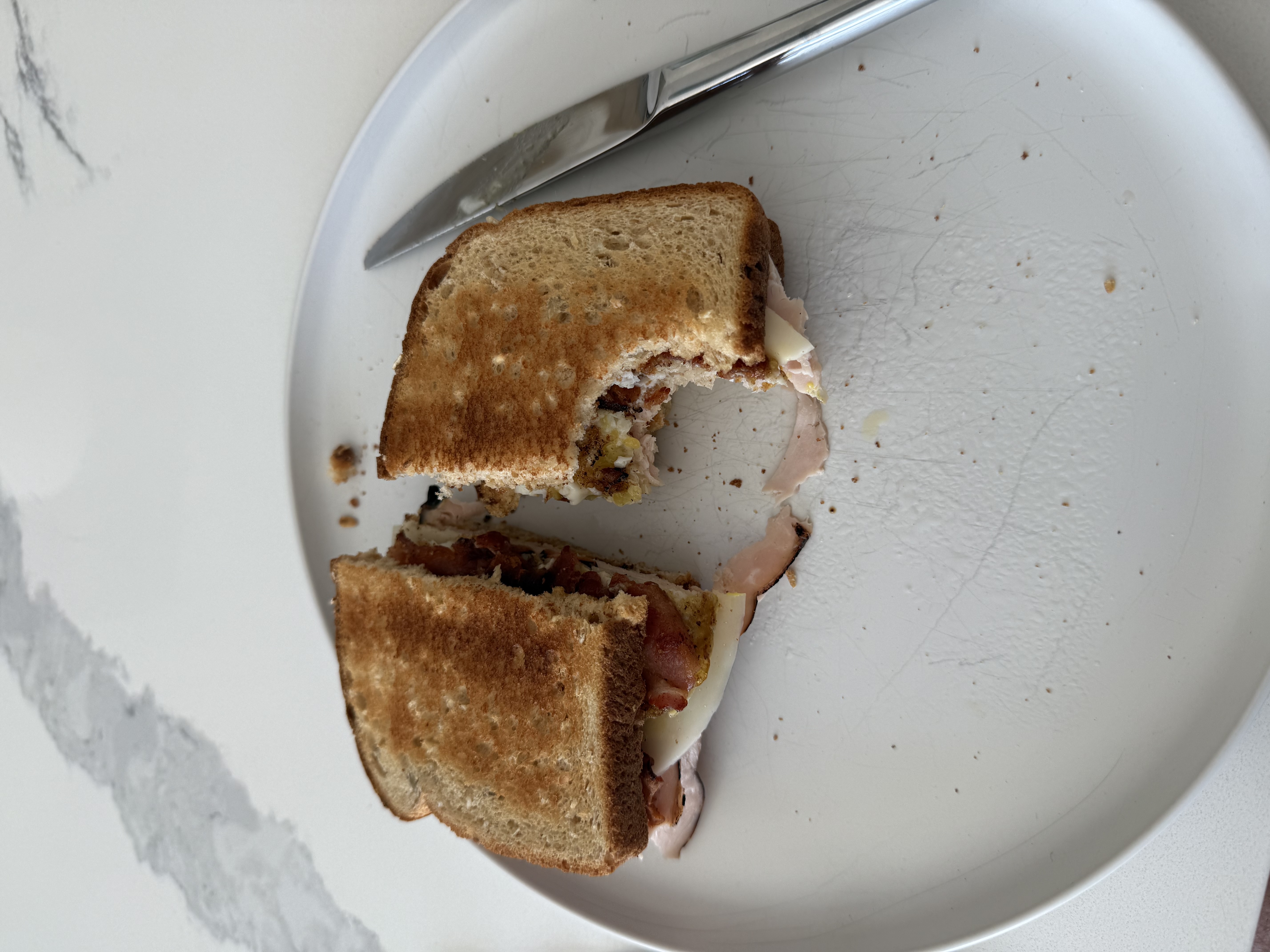 Impressive sandwich